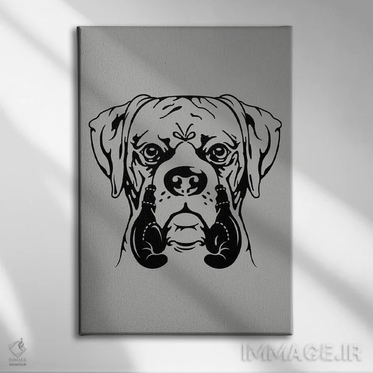 تابلو بوکسور جوان اثر آدام لاولس - نمای روبهرو روی دیوار