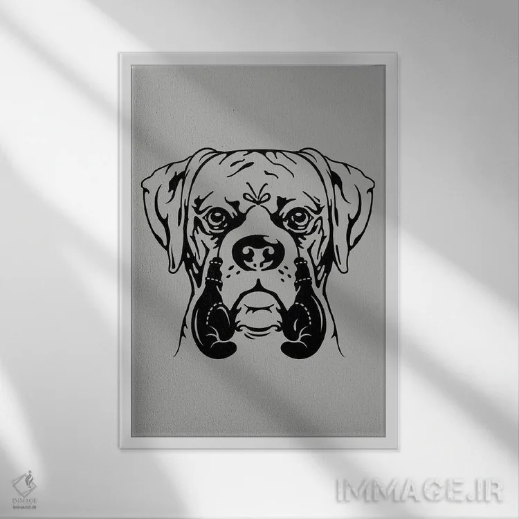 تابلو بوکسور جوان اثر آدام لاولس - نمای قابدار سفید