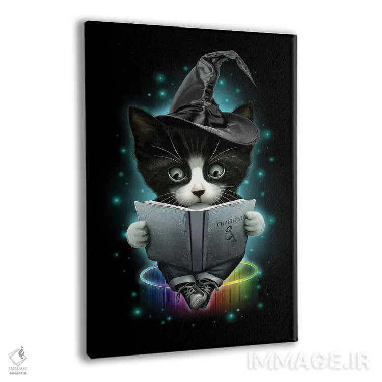 تابلو جادوگر اثر آدام لاولس - نمای پرسپکتیو محصول