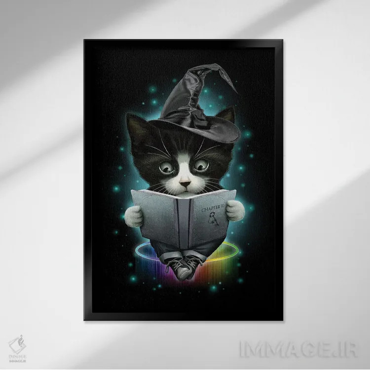 تابلو جادوگر اثر آدام لاولس - نمای قابدار مشکی