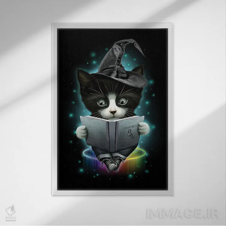 تابلو جادوگر اثر آدام لاولس - نمای قابدار سفید