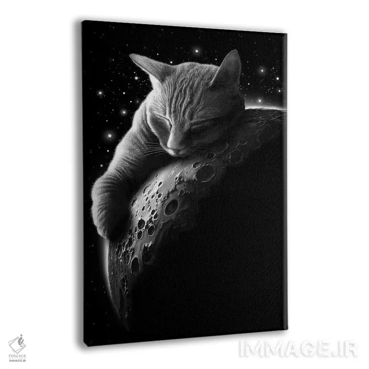 تابلو گربهٔ ماه اثر آدام لاولس - نمای پرسپکتیو محصول