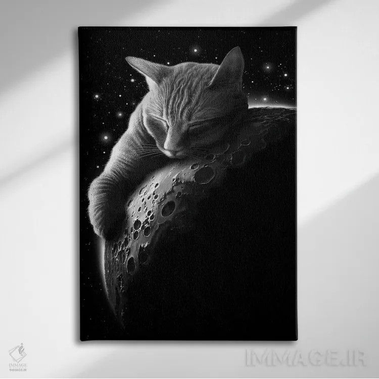 تابلو گربهٔ ماه اثر آدام لاولس - نمای روبهرو روی دیوار