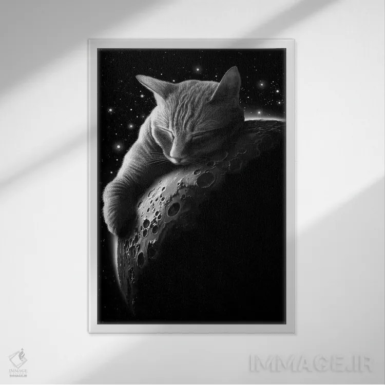 تابلو گربهٔ ماه اثر آدام لاولس - نمای قابدار سفید