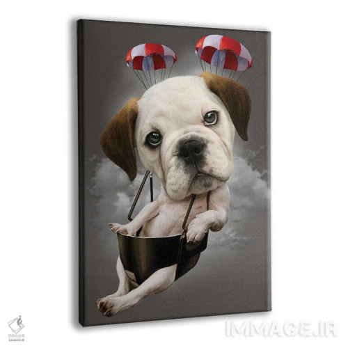 تابلو سگ چترباز اثر آدام لاولس - نمای پرسپکتیو محصول