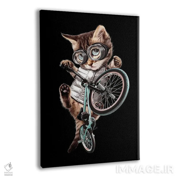 تابلو گربه BMX سوار اثر آدام لاولس - نمای پرسپکتیو محصول