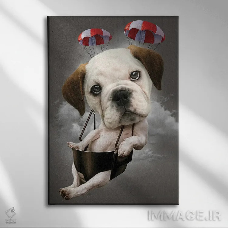 تابلو سگ چترباز اثر آدام لاولس - نمای روبهرو روی دیوار
