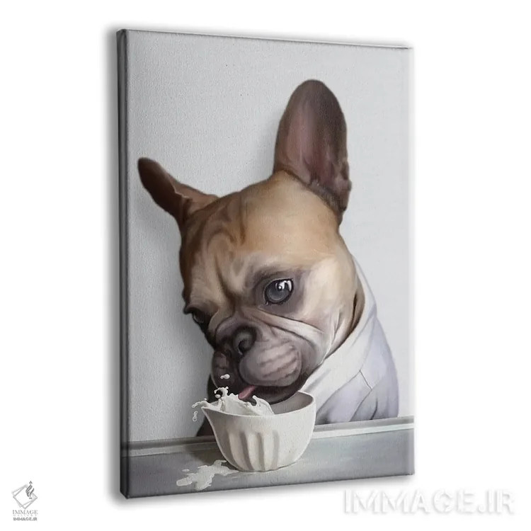 تابلو پاگ در حال نوشیدن (پاگ، نژاد سگ) اثر آدام لاولس - نمای پرسپکتیو محصول