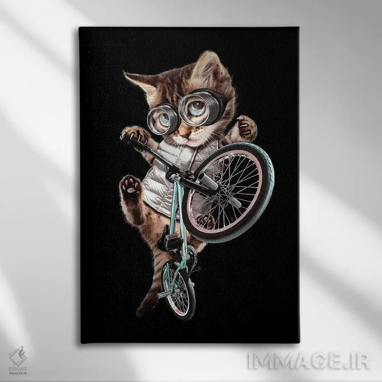 تابلو گربه BMX سوار اثر آدام لاولس - نمای روبهرو روی دیوار