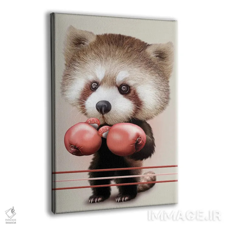 تابلو پاندای قرمز بوکسور اثر آدام لاولس - نمای پرسپکتیو محصول