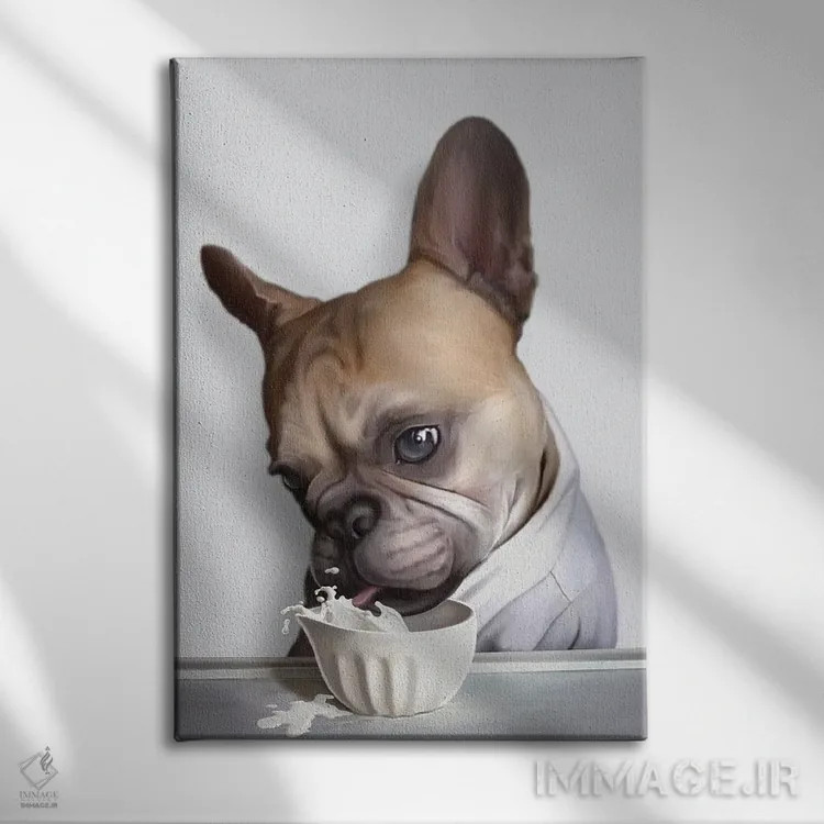 تابلو پاگ در حال نوشیدن (پاگ، نژاد سگ) اثر آدام لاولس - نمای روبهرو روی دیوار