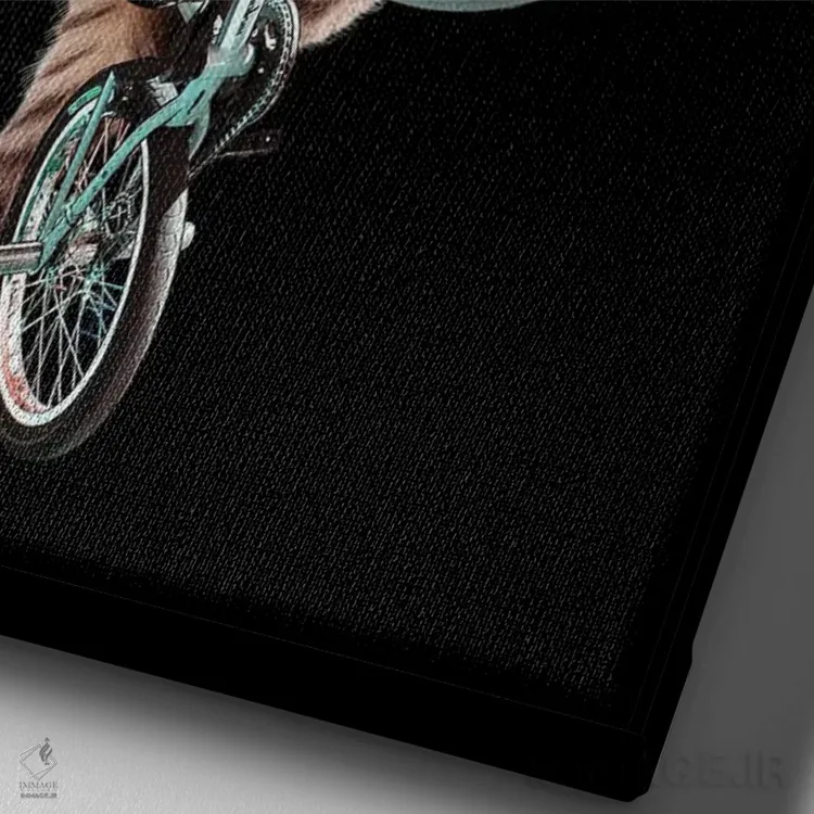 تابلو گربه BMX سوار اثر آدام لاولس - نمای نزدیک بافت بوم