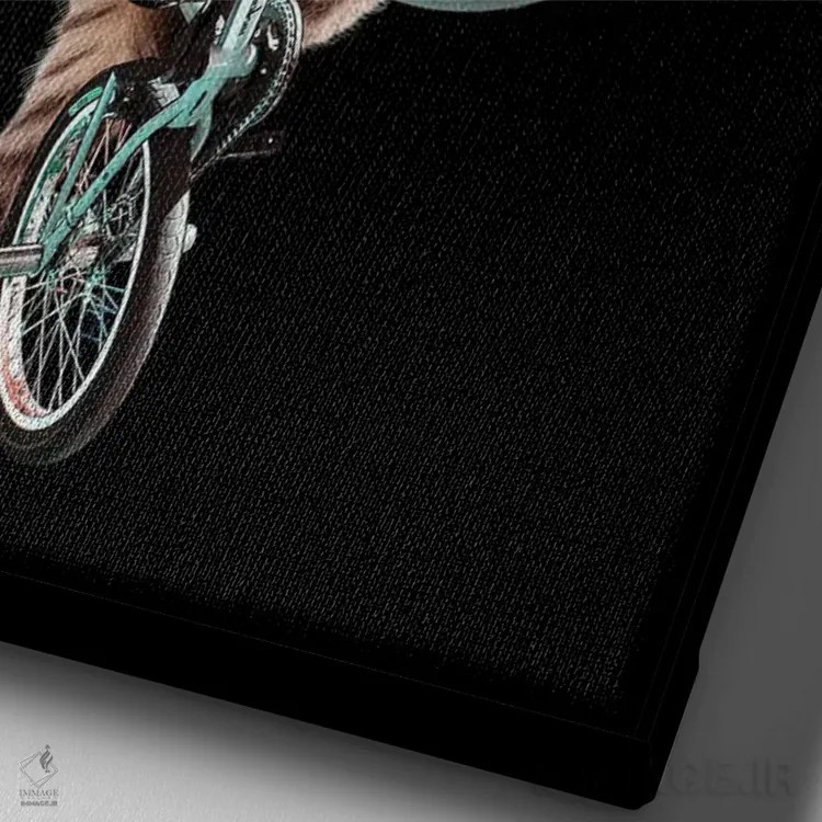 تابلو گربه BMX سوار اثر آدام لاولس - نمای نزدیک بافت بوم