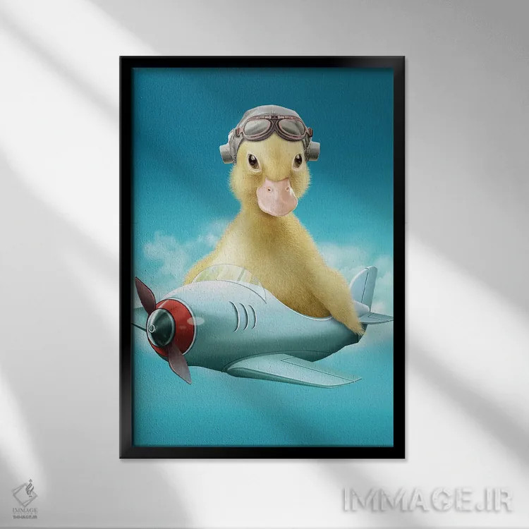تابلو اردک خلبان اثر آدام لاولس - نمای قابدار مشکی