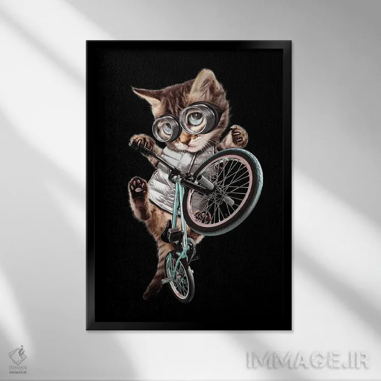 تابلو گربه BMX سوار اثر آدام لاولس - نمای قابدار مشکی