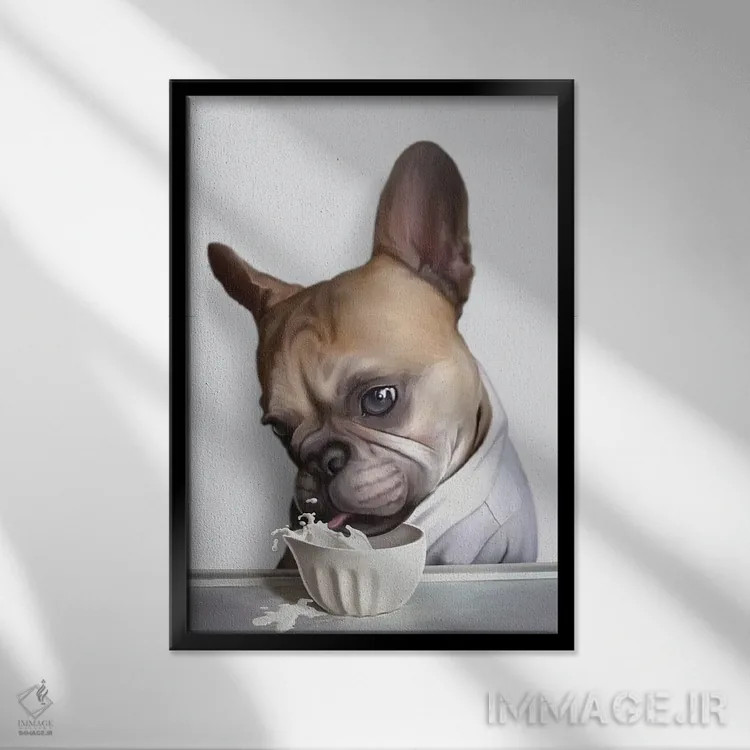 تابلو پاگ در حال نوشیدن (پاگ، نژاد سگ) اثر آدام لاولس - نمای قابدار مشکی