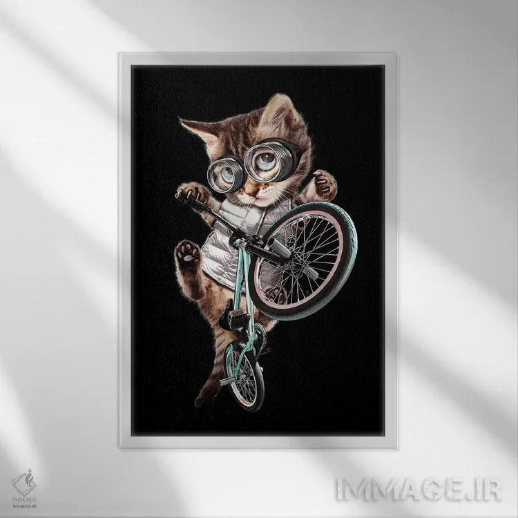 تابلو گربه BMX سوار اثر آدام لاولس - نمای قابدار سفید