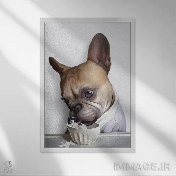 تابلو پاگ در حال نوشیدن (پاگ، نژاد سگ) اثر آدام لاولس - نمای قابدار سفید