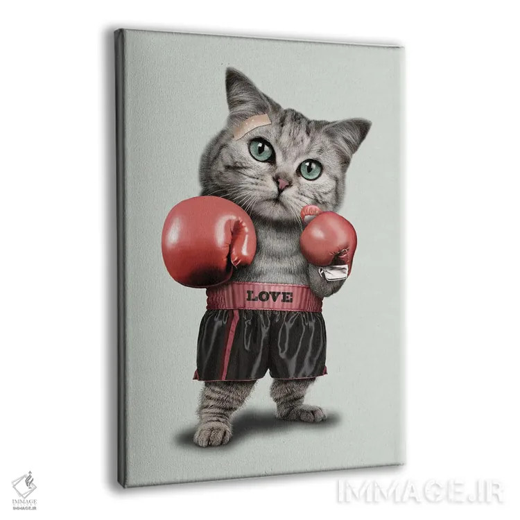تابلو گربهٔ بوکسور اثر آدام لاولس - نمای پرسپکتیو محصول