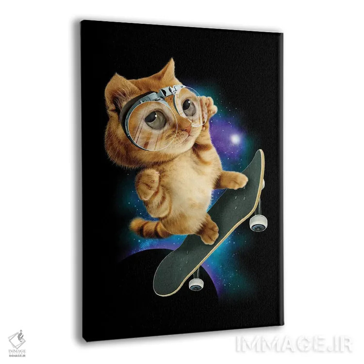 تابلو گربهٔ اسکیتباز اثر آدام لاولس - نمای پرسپکتیو محصول