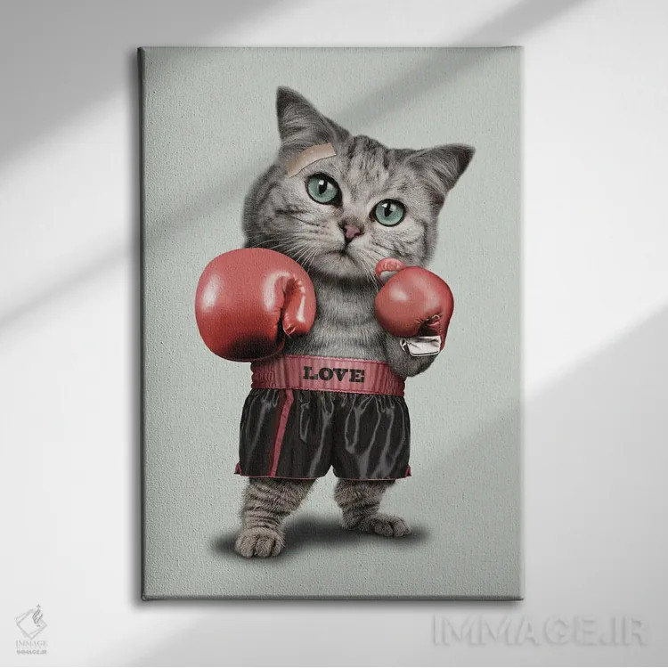 تابلو گربهٔ بوکسور اثر آدام لاولس - نمای روبهرو روی دیوار