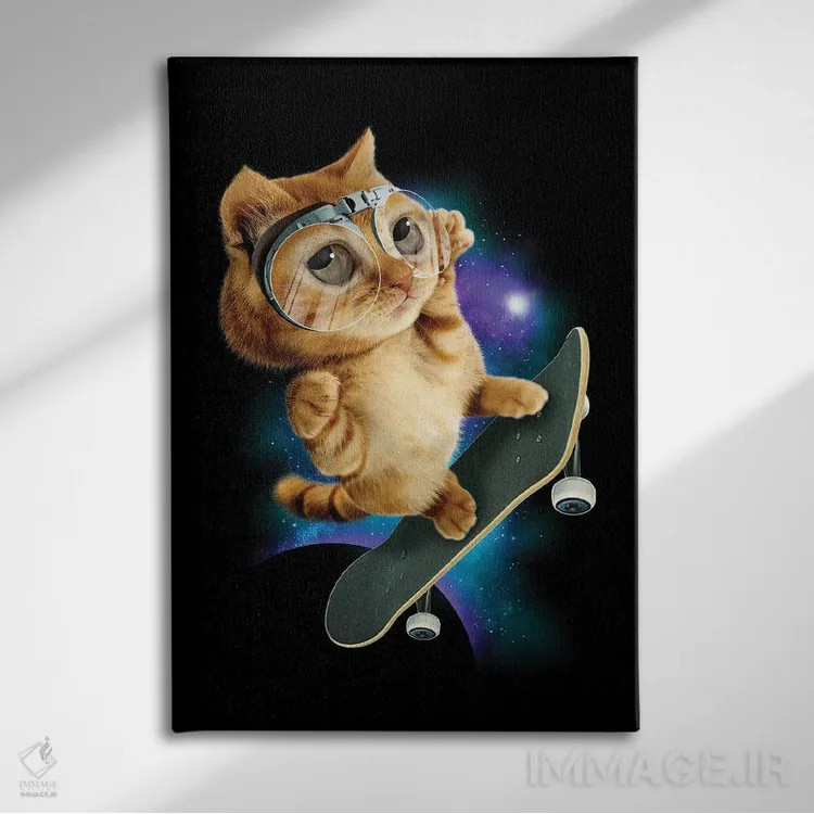 تابلو گربهٔ اسکیتباز اثر آدام لاولس - نمای روبهرو روی دیوار