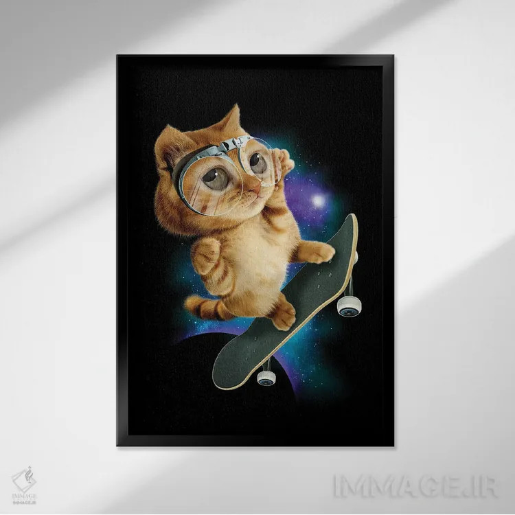 تابلو گربهٔ اسکیتباز اثر آدام لاولس - نمای قابدار مشکی