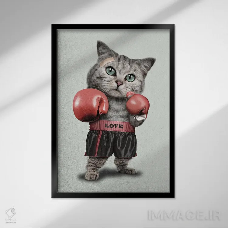 تابلو گربهٔ بوکسور اثر آدام لاولس - نمای قابدار مشکی