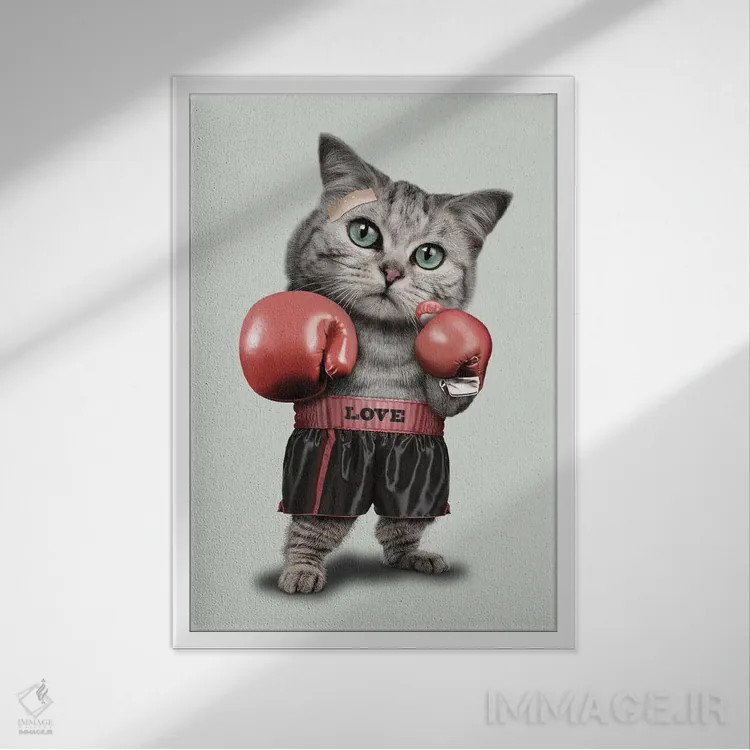 تابلو گربهٔ بوکسور اثر آدام لاولس - نمای قابدار سفید