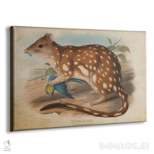 تابلو کوال ببر (وینتیج) اثر پیکسل کهنه (استودیو/نام هنری) - نمای پرسپکتیو محصول