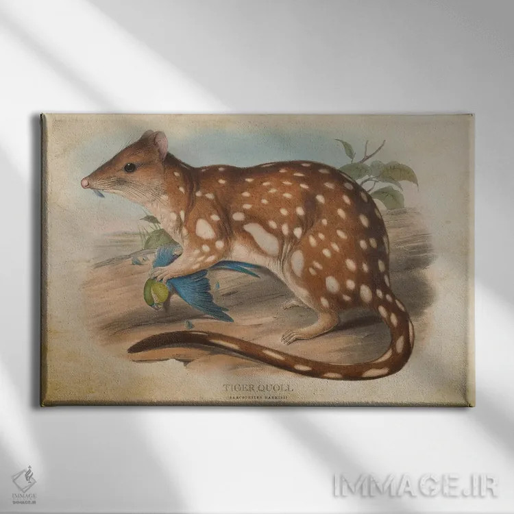 تابلو کوال ببر (وینتیج) اثر پیکسل کهنه (استودیو/نام هنری) - نمای روبهرو روی دیوار