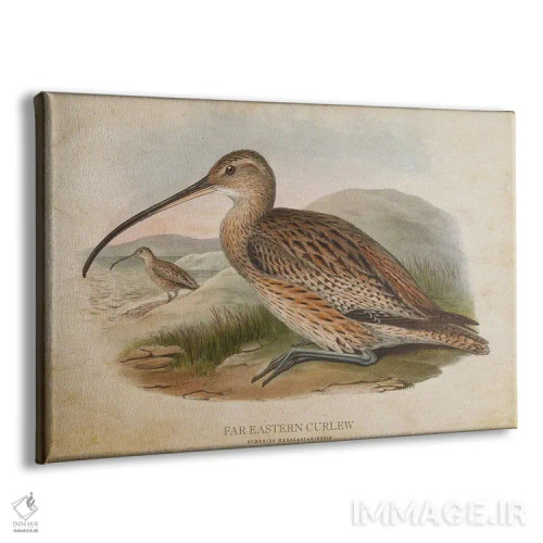 تابلو چرخریسک شرقی (وینتیج) اثر پیکسل کهنه (استودیو/نام هنری) - نمای پرسپکتیو محصول