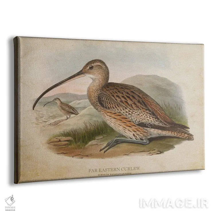 تابلو چرخریسک شرقی (وینتیج) اثر پیکسل کهنه (استودیو/نام هنری) - نمای پرسپکتیو محصول