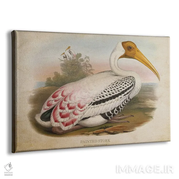 تابلو لکلک نقاشی شده (وینتیج) اثر پیکسل کهنه (استودیو/نام هنری) - نمای پرسپکتیو محصول