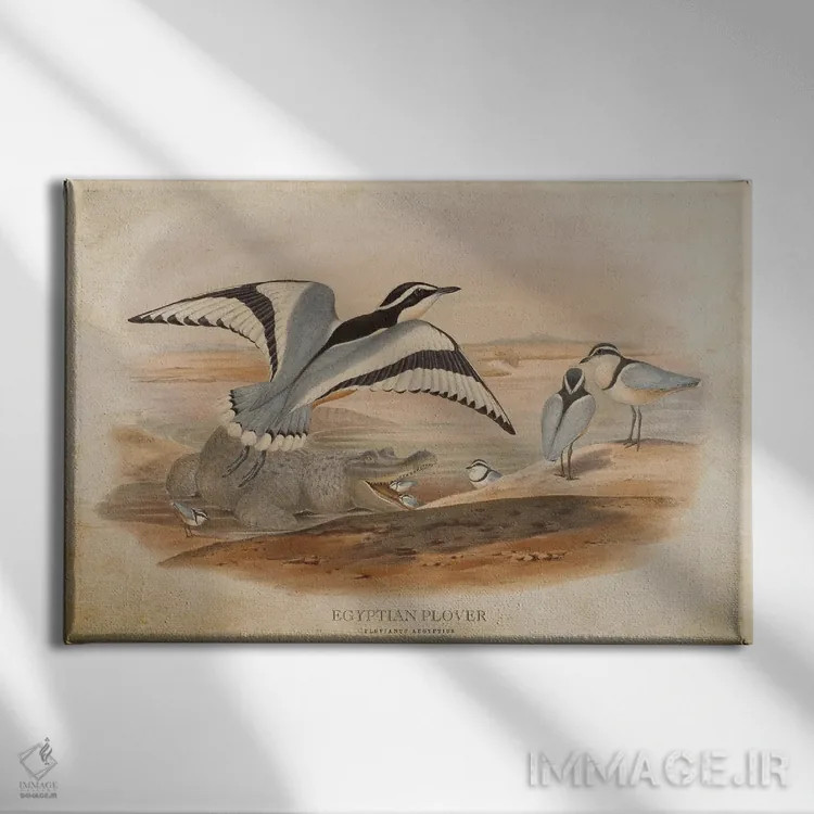 تابلو پرنده پلوور مصری (وینتیج) اثر پیکسل کهنه (استودیو/نام هنری) - نمای روبهرو روی دیوار