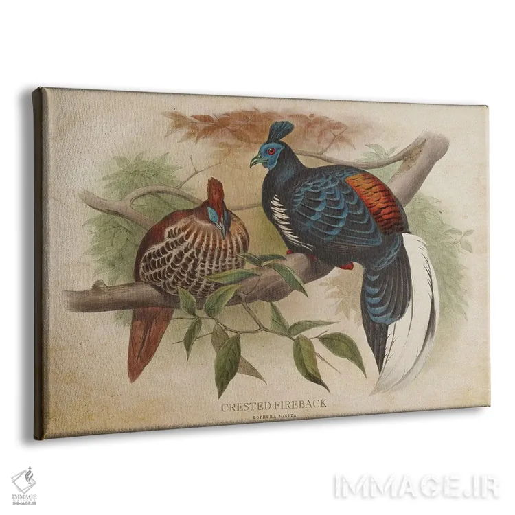 تابلو قرقاول کاکلدار (وینتیج) اثر پیکسل کهنه (استودیو/نام هنری) - نمای پرسپکتیو محصول