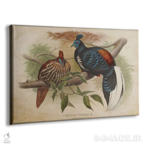 تابلو قرقاول کاکلدار (وینتیج) اثر پیکسل کهنه (استودیو/نام هنری) - نمای پرسپکتیو محصول