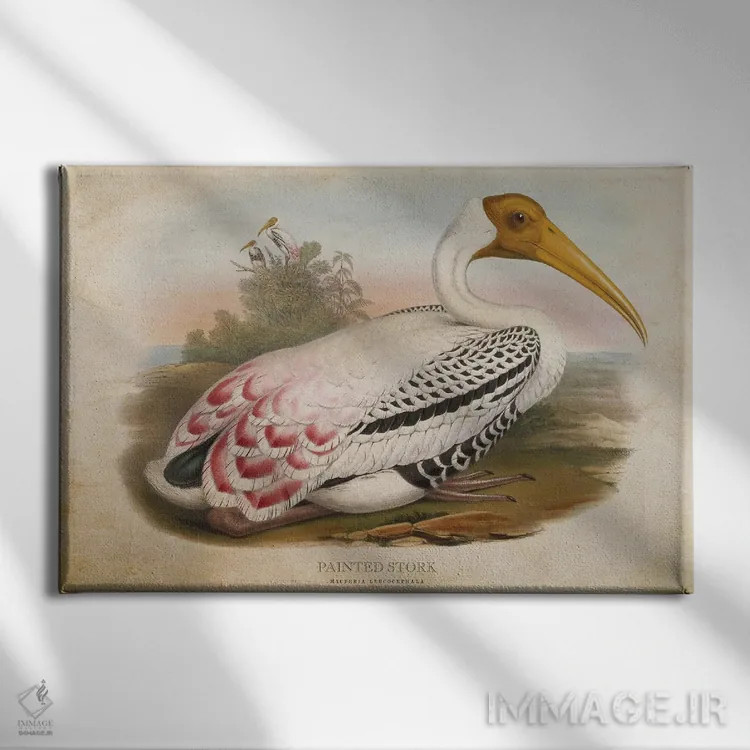 تابلو لکلک نقاشی شده (وینتیج) اثر پیکسل کهنه (استودیو/نام هنری) - نمای روبهرو روی دیوار
