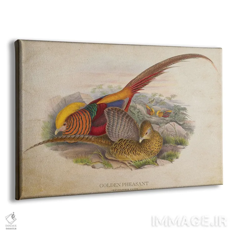 تابلو قرقاول طلایی (وینتیج) اثر پیکسل کهنه (استودیو/نام هنری) - نمای پرسپکتیو محصول