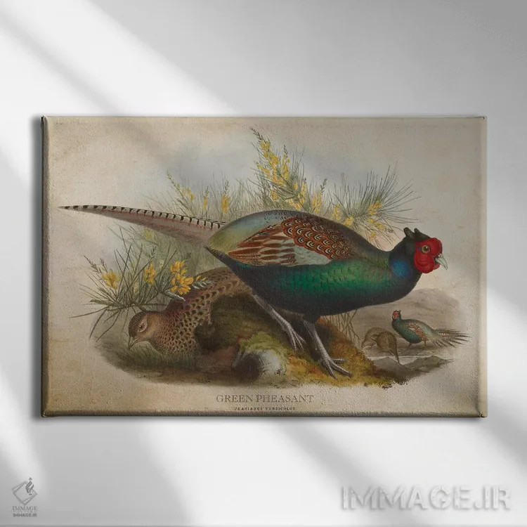 تابلو قرقاول سبز (وینتیج) اثر پیکسل کهنه (استودیو/نام هنری) - نمای روبهرو روی دیوار