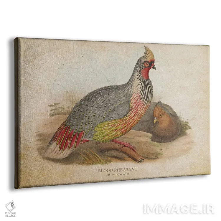 تابلو قرقاول خونی (وینتیج) اثر پیکسل کهنه (استودیو/نام هنری) - نمای پرسپکتیو محصول