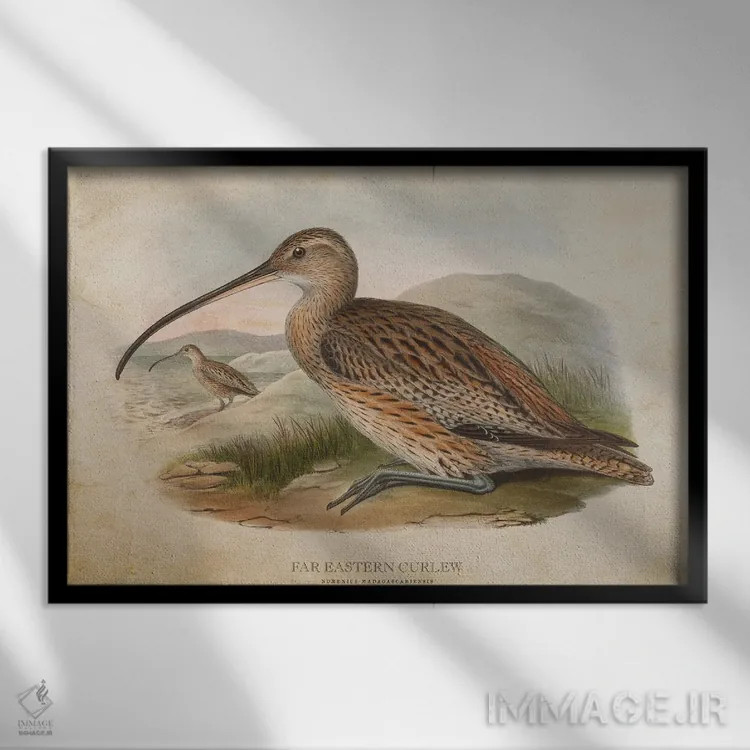 تابلو چرخریسک شرقی (وینتیج) اثر پیکسل کهنه (استودیو/نام هنری) - نمای قابدار مشکی