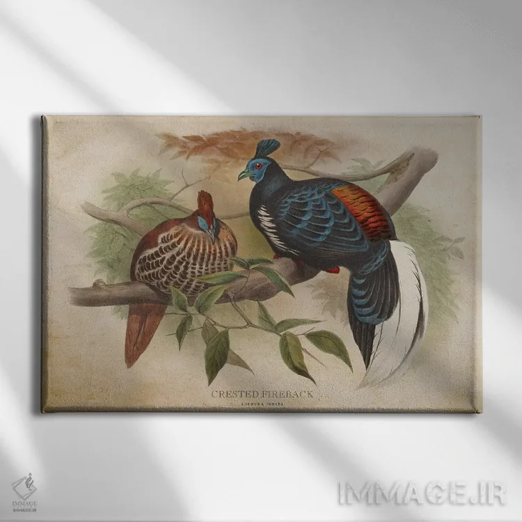 تابلو قرقاول کاکلدار (وینتیج) اثر پیکسل کهنه (استودیو/نام هنری) - نمای روبهرو روی دیوار