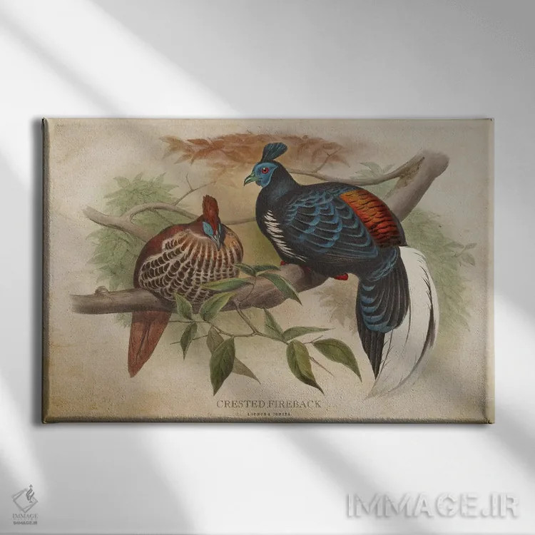 تابلو قرقاول کاکلدار (وینتیج) اثر پیکسل کهنه (استودیو/نام هنری) - نمای روبهرو روی دیوار