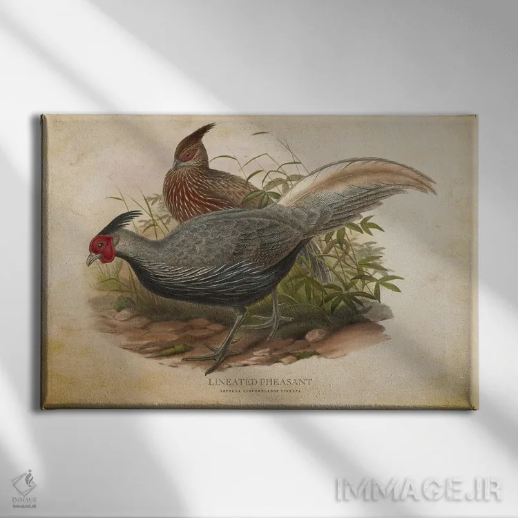 تابلو قرقاول خطدار (وینتیج) اثر پیکسل کهنه (استودیو/نام هنری) - نمای روبهرو روی دیوار