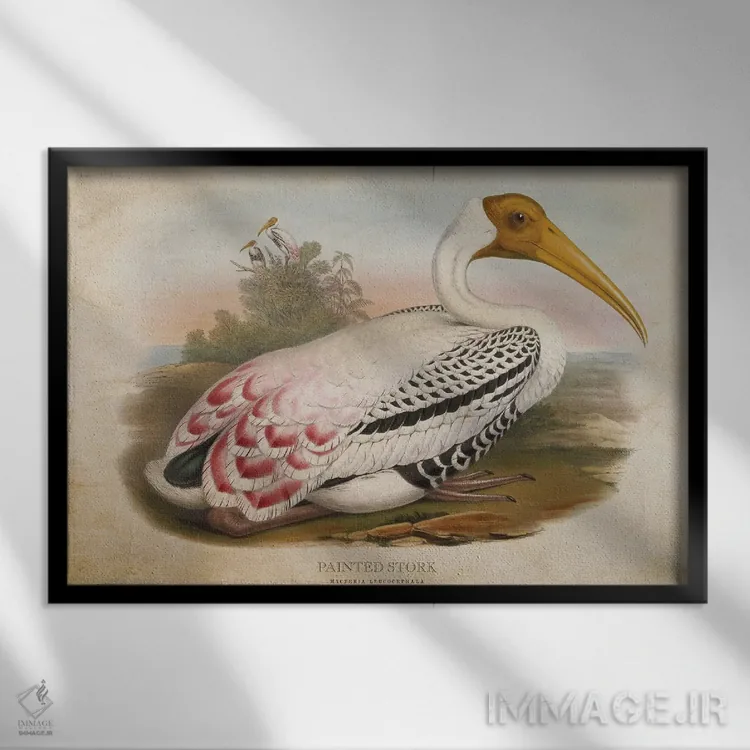 تابلو لکلک نقاشی شده (وینتیج) اثر پیکسل کهنه (استودیو/نام هنری) - نمای قابدار مشکی