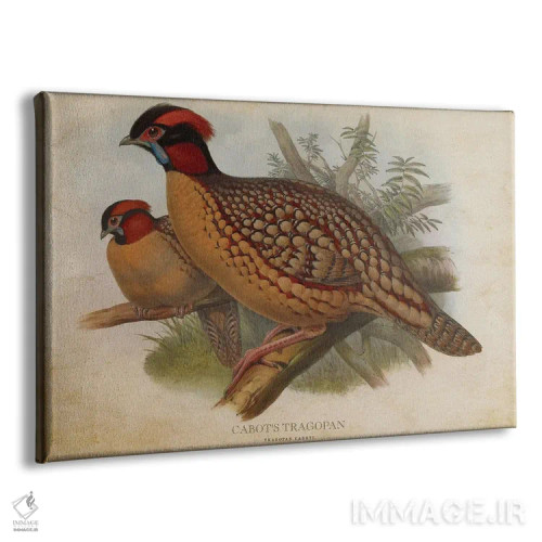 تابلو تراگوپان کابوت (وینتیج) اثر پیکسل کهنه (استودیو/نام هنری) - نمای پرسپکتیو محصول