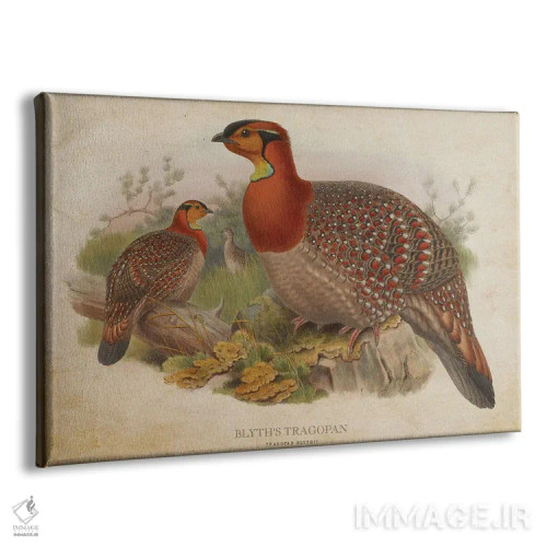 تابلو تراگوپان بلیت (وینتیج) اثر پیکسل کهنه (استودیو/نام هنری) - نمای پرسپکتیو محصول