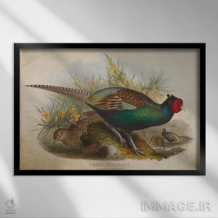 تابلو قرقاول سبز (وینتیج) اثر پیکسل کهنه (استودیو/نام هنری) - نمای قابدار مشکی