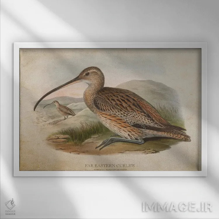 تابلو چرخریسک شرقی (وینتیج) اثر پیکسل کهنه (استودیو/نام هنری) - نمای قابدار سفید